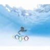 Underwater Fish Rings
