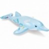 Lil' Dolphin