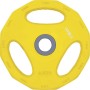 Δίσκος AMILA Pump Rubber Φ30 2,50Kg