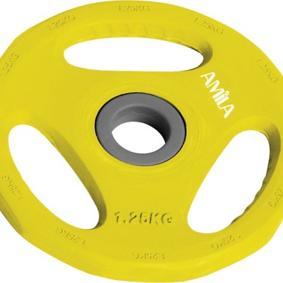 Δίσκος AMILA Pump Rubber Φ28 1,25Kg