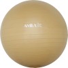 Μπάλα Γυμναστικής (Bulk) 75cm - Χρυσή