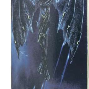 Τροχοσανίδα Skateboard AMILA Skatebird Dark Angel