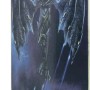 Τροχοσανίδα Skateboard AMILA Skatebird Dark Angel