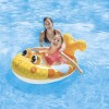 Pool Cruisers