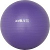 Μπάλα Γυμναστικής 55 cm - Μωβ