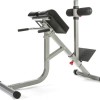 Roman Chair with Hyperextension