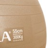 Μπάλα Γυμναστικής (Bulk) 55cm - Χρυσή