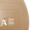 Μπάλα Γυμναστικής (Bulk) 75cm - Χρυσή