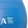 Μπάλα Γυμναστικής (Bulk) 55cm - Μπλε