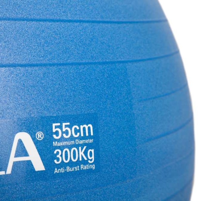 Μπάλα Γυμναστικής (Bulk) 55cm - Μπλε