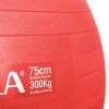 Μπάλα Γυμναστικής (Bulk) 75cm - Κόκκινη