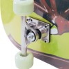 Τροχοσανίδα Skateboard AMILA Skatebird Blazing Drake