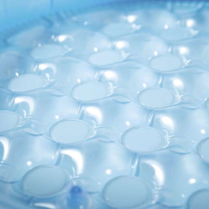 Mushroom Baby Pool