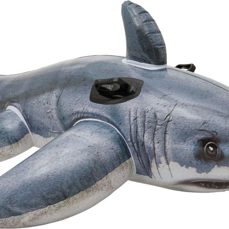 Great White Shark