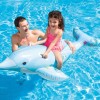 Lil' Dolphin