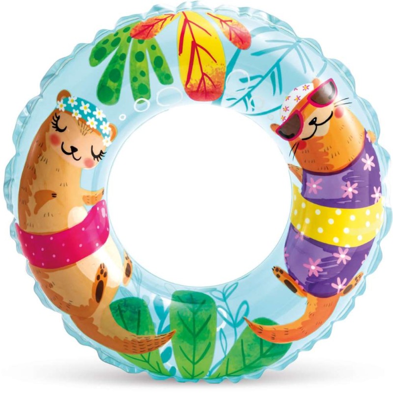 Transparent Rings