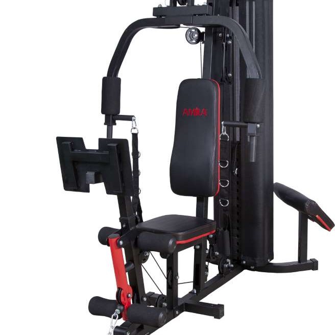 Πολυόργανο Γυμναστικής AMILA HG1187