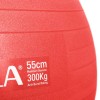 Μπάλα Γυμναστικής 55 cm - Κόκκινη