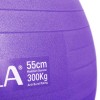 Μπάλα Γυμναστικής 55 cm - Μωβ
