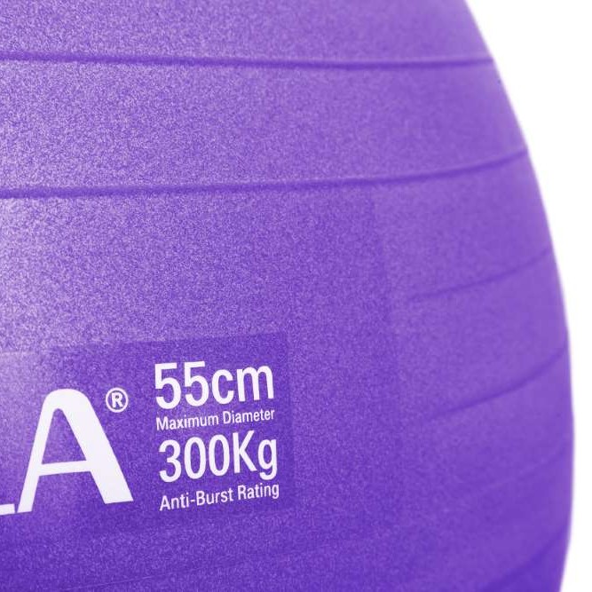 Μπάλα Γυμναστικής 55 cm - Μωβ