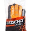 Γάντια Τερματοφύλακα AMILA Legend No06