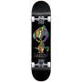 Skateboard Blind Sweater Pattern FP, Black, 8.125 ίντσες