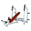Luxury Incline Bench H-025 (VIKING)