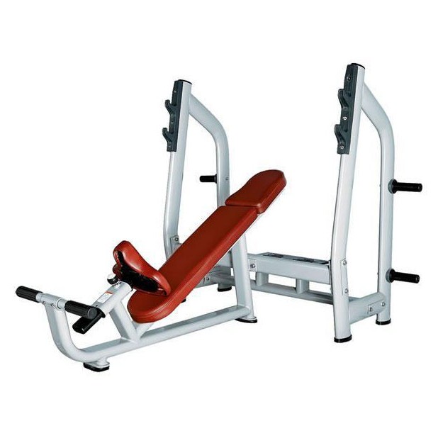 Luxury Incline Bench H-025 (VIKING)