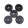 VIKING Bumper Plates Φ50 - 25.00 kgr
