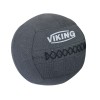Viking C-8034 Wall Ball Professional - 9.00 kgr