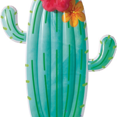 Στρώμα Θαλάσσης INTEX Cactus Float