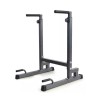 Viking DS-90  Dip Station