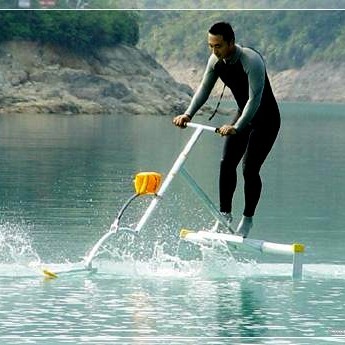 Water Skiper