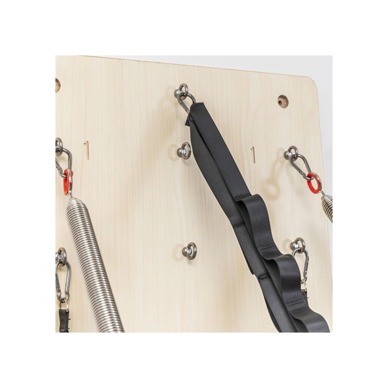Viking Pilates Wall Mounted Springboard