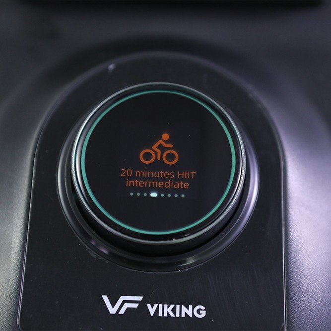 Viking Sparkle Ποδήλατο Spin